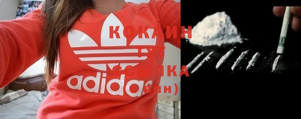 прущий лед Ельня