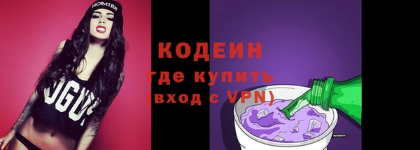 МДПВ Елизово