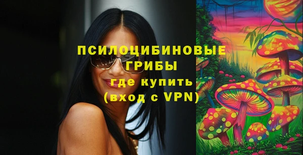 МДПВ Елизово