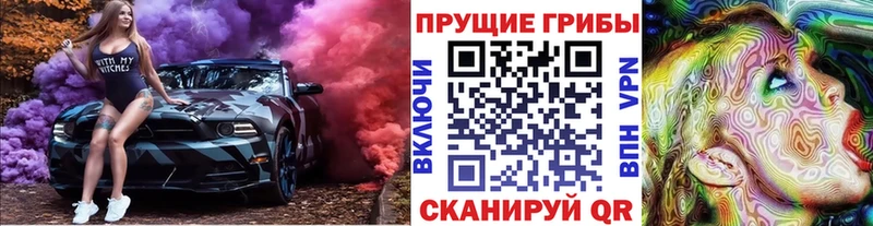 Купить где  Духовщина  Псилоцибиновые грибы мицелий 